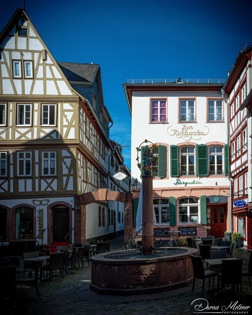 Die Altstadt von Mainz | Die Altstadt von Mainz