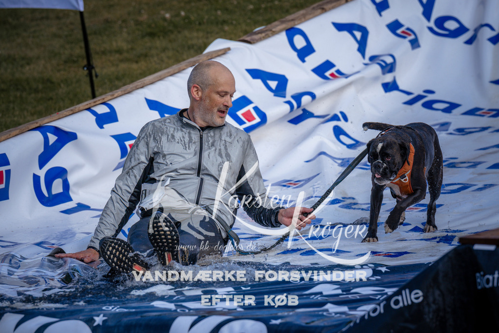 _ZZ970410740 | kk-dogfotos