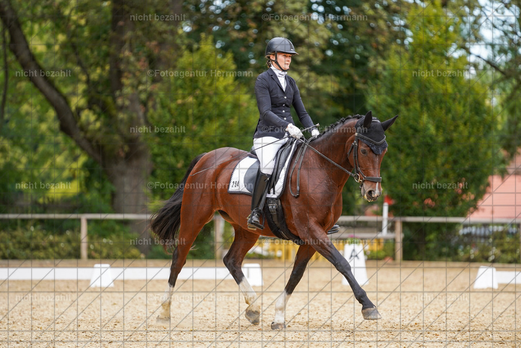 20231007-SN_00503 | Diessen am Ammersee, 2023, Dressur- und Springturnier, Reitsport, Turnierfotografie, Pferdebilder, Reitbilder, Turnierfotografen Bayern, Fotoagentur Herrmann
