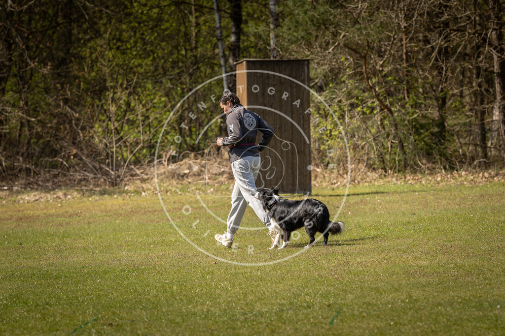 Pfotenfotografie_DV3A1082 | Hundefotografie, Tierfotograf, Pfotenfotografie, Fotoshooting Hund, Hunde Portrait, Hundesport, Hundeportraits, Heideshooting, Hunde, Sportfotograf, Hundefotograf, Turnierhundsport, THS,  - Realisiert mit Pictrs.com