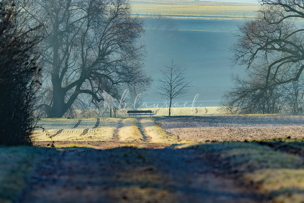 701A5243 | Sportbilder, Sportfotograf, Hochzeits- und Eventfotografin, Flugshows, Portraits und Tiershooting, Aviation, Downhill, Nationalleague, Swissleague, International