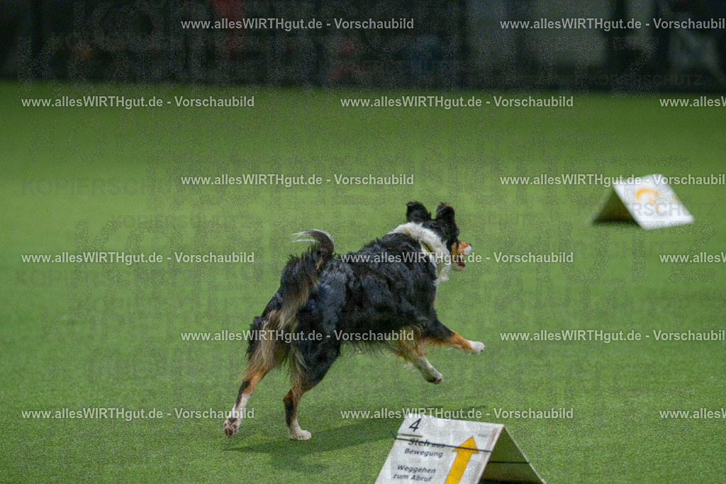 7R508142 | Professionelle Tierfotografie in Mönchengladbach von Daniel Wirth (allesWIRTHgut). Liebevolle & natürliche Bilder von Hunden & Katzen für unvergessliche Erinnerungen.