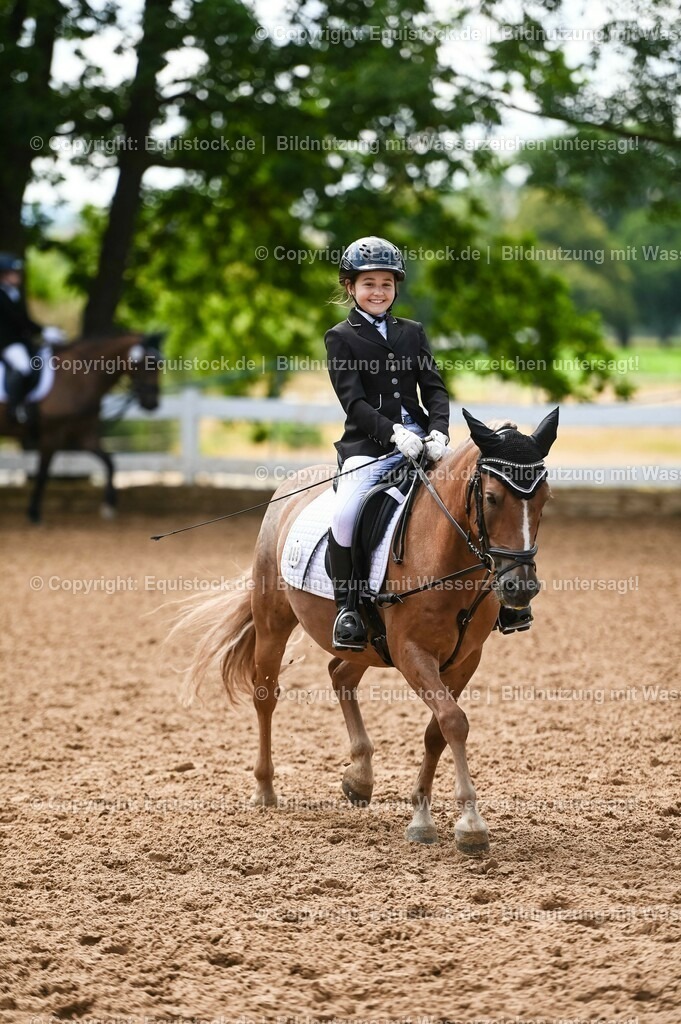 20230716_10-3_Reiter-WB Schritt - Trab - Galopp_0176 | equistock
