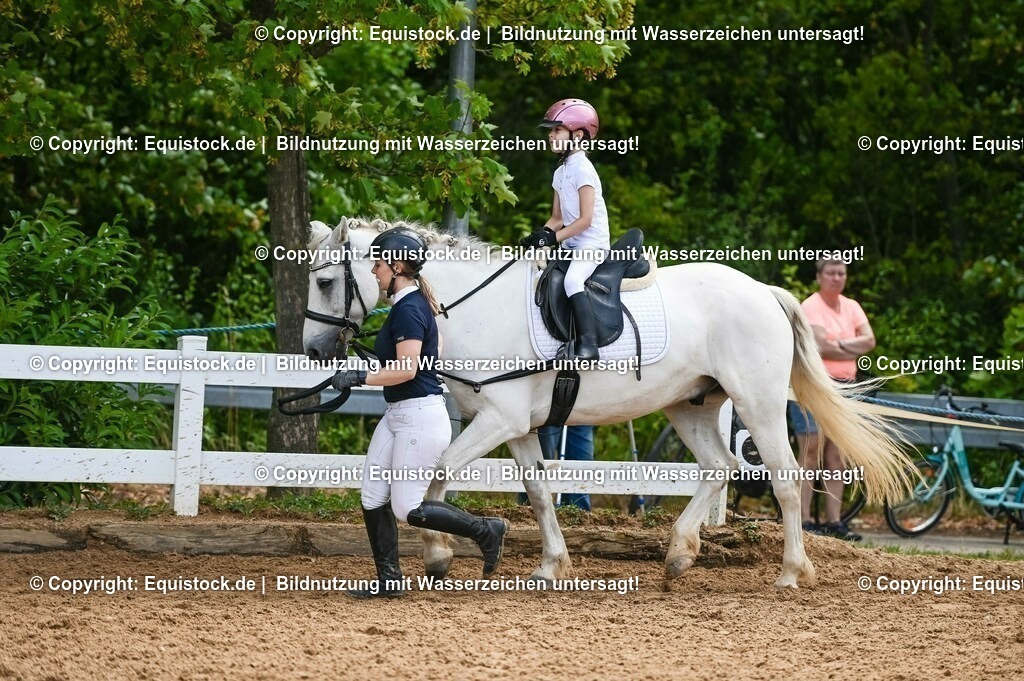 20230716_11_Führzügel-WB_0154 | equistock