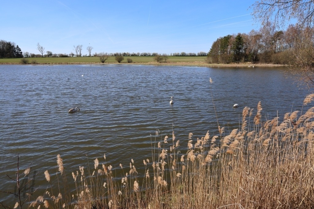 Seenlandschaft Land der 1.000 Teiche | Seenlandschaft Land der 1.000 Teiche - Realisiert mit Pictrs.com
