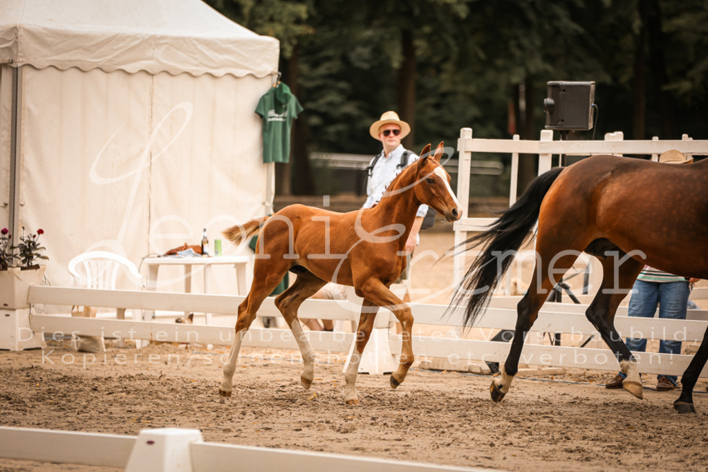 SaPA00271 | Leoni Ertmer Photography - Realisiert mit Pictrs.com