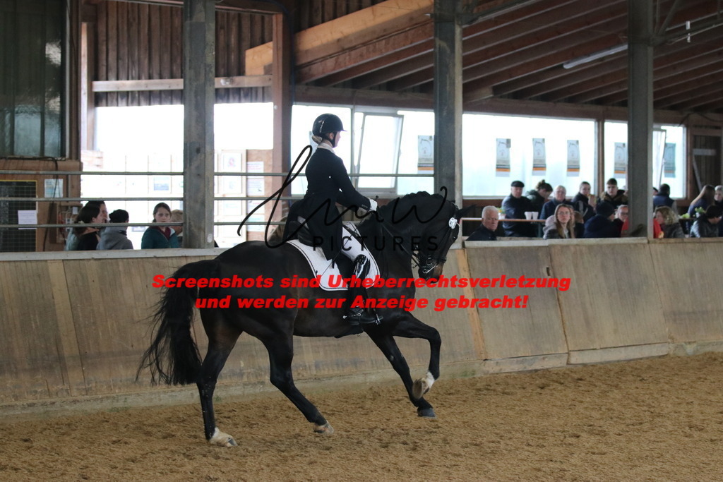 IMG_1064 | lmwpictures - Realisiert mit Pictrs.com