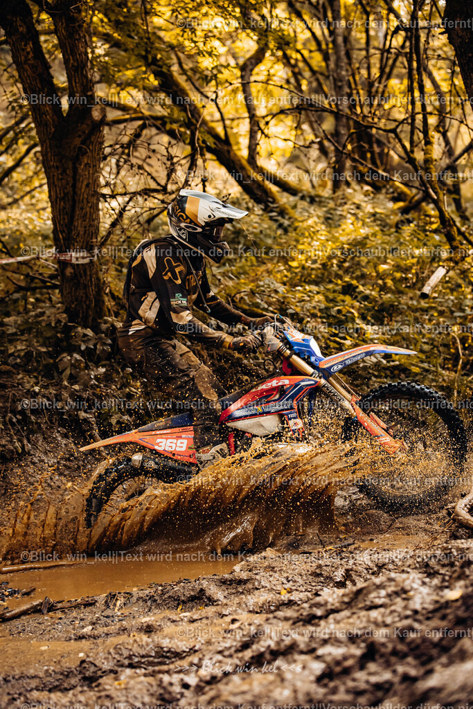 E68A6181 | blick_win_kel