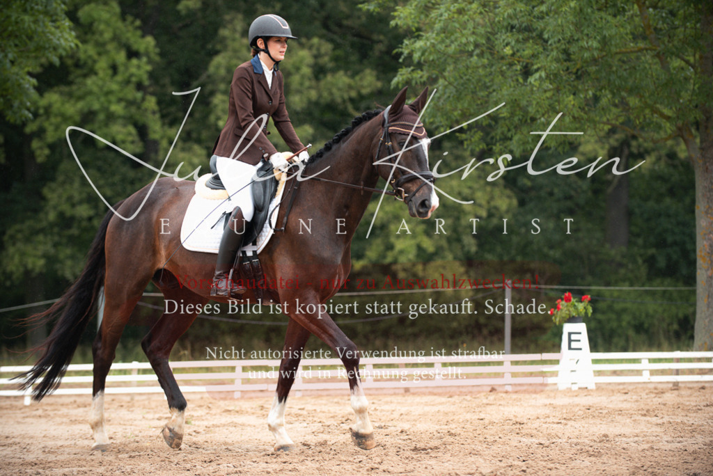 DSC_9743 | Pferde- und Turnierfotografie in Westsachsen. Pferdeportraits, Auftragszeichnungen und intuitive Kunst.