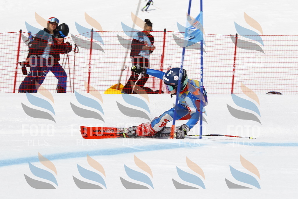 _U3G5195 | holidayphoto