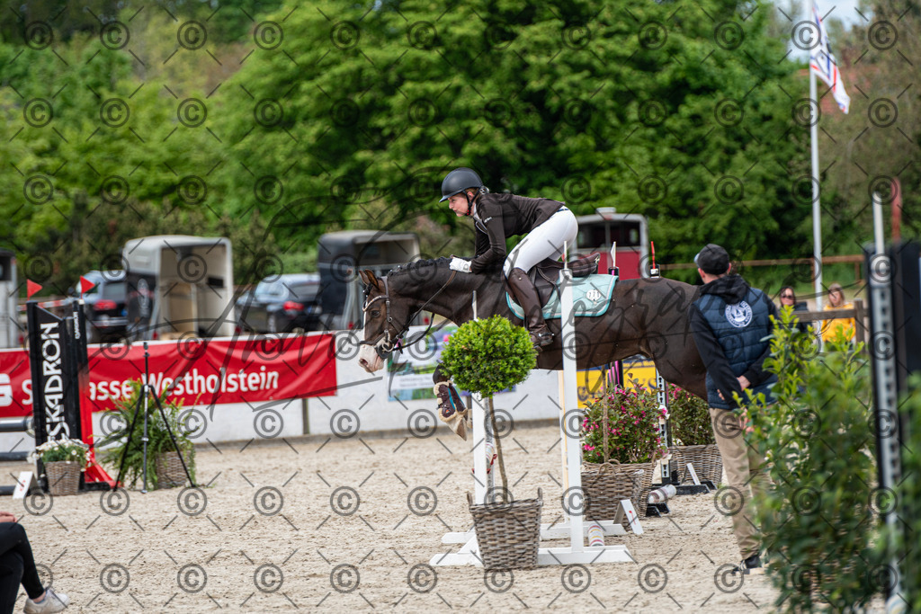 KPT_6311 | andre_photographic