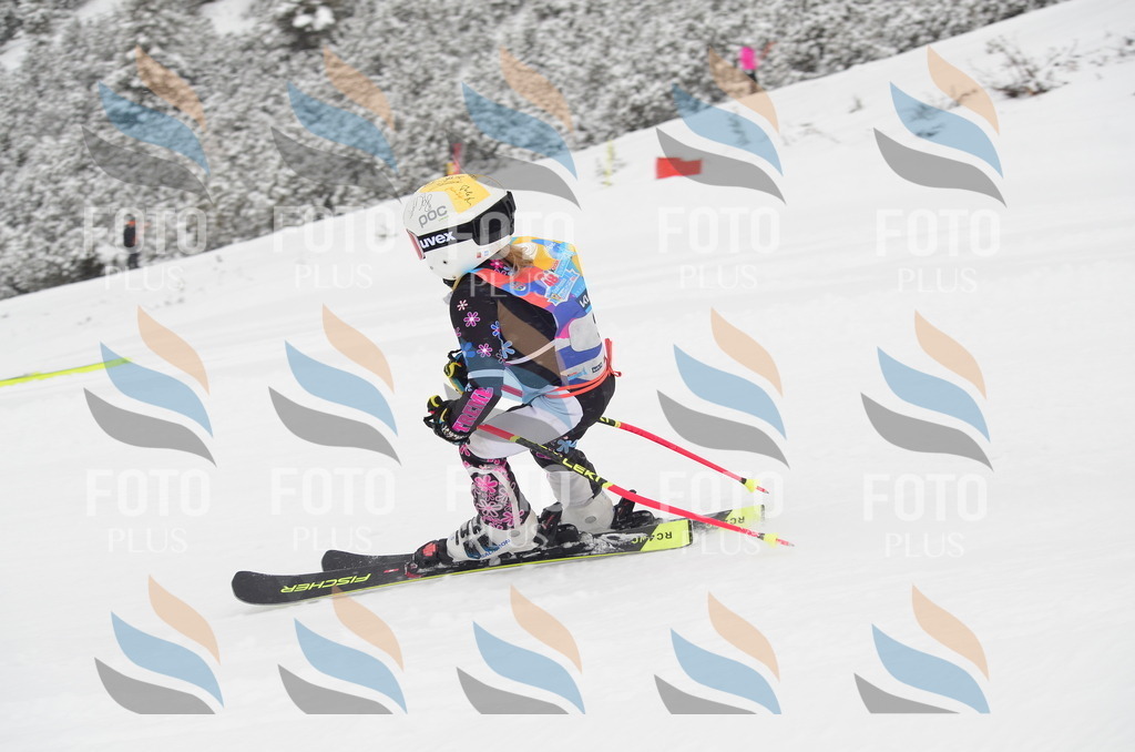 C0536 | holidayphoto