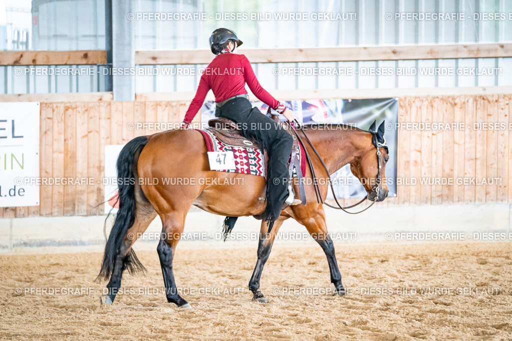 DSC02504 | Pferdegrafie