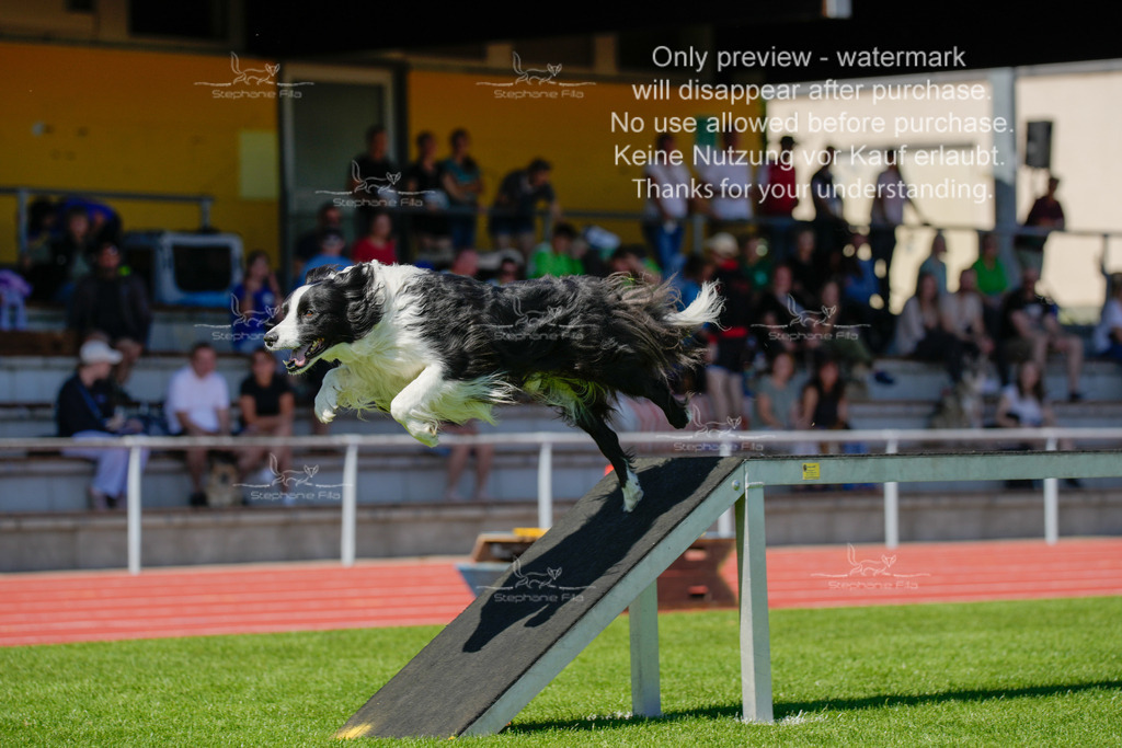 Sonntag_VK Hindernis (48 von 671) | stephaniefillaphotographie - Realisiert mit Pictrs.com