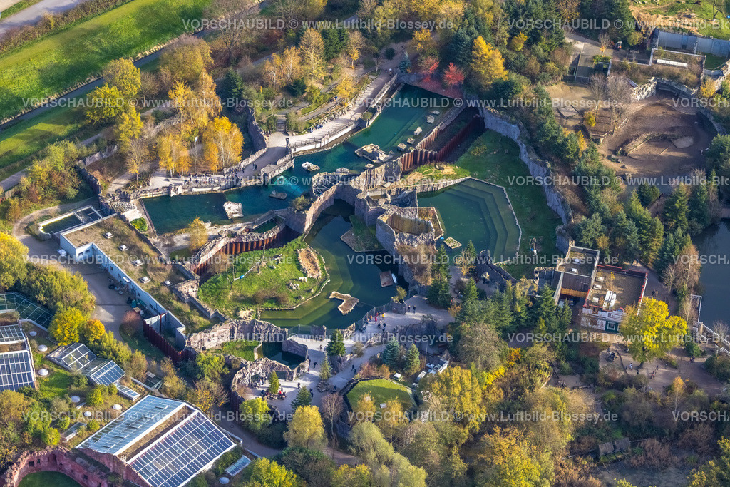 Gelsenkirchen221101720suedlich | Luftbild, ZOOM Erlebniswelt Zoo, Eisbärengehege, Bismarck, Gelsenkirchen, Ruhrgebiet, Nordrhein-Westfalen, Deutschland
