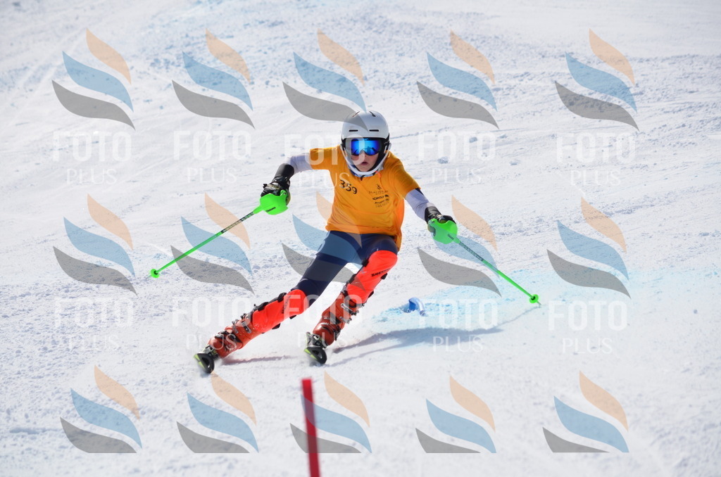 C9838 | holidayphoto