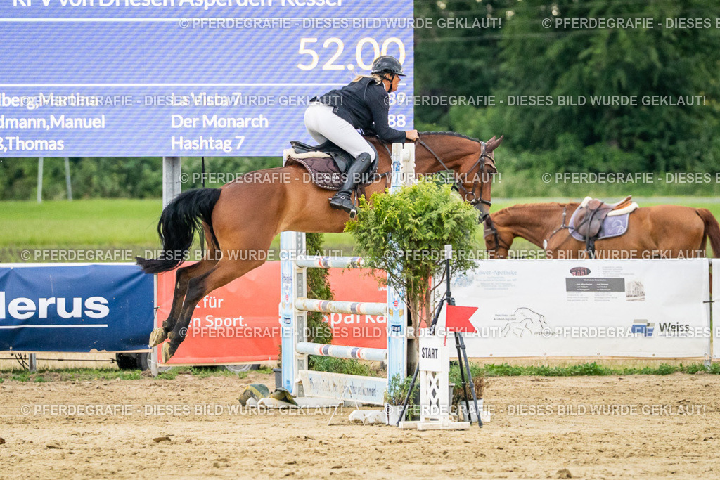 DSC07041 | Pferdegrafie