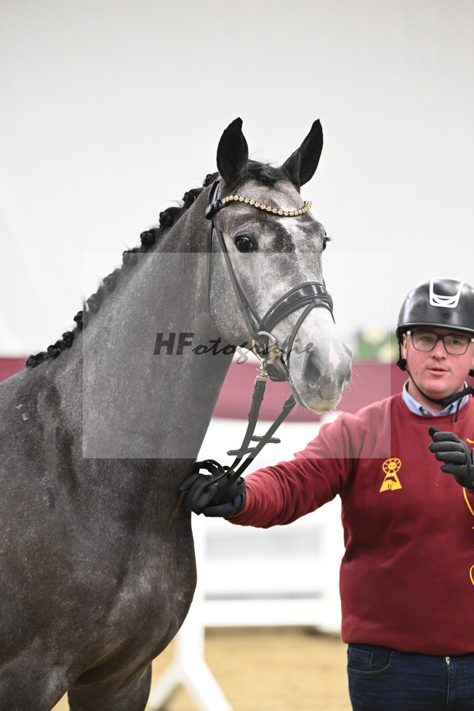 Kat-Nr. 72 Chacoon Blue x Contagio_Matthias Schlamminger GmbH_47252940 | hf-fotografie - Realisiert mit Pictrs.com