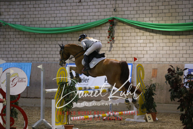 IMG_0769 | Turniersportfotografie; Pferdefotografie; Dressurfotografie