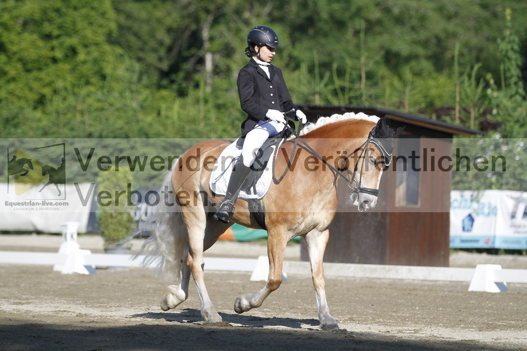 _MG_0486 | equestrian-live-com