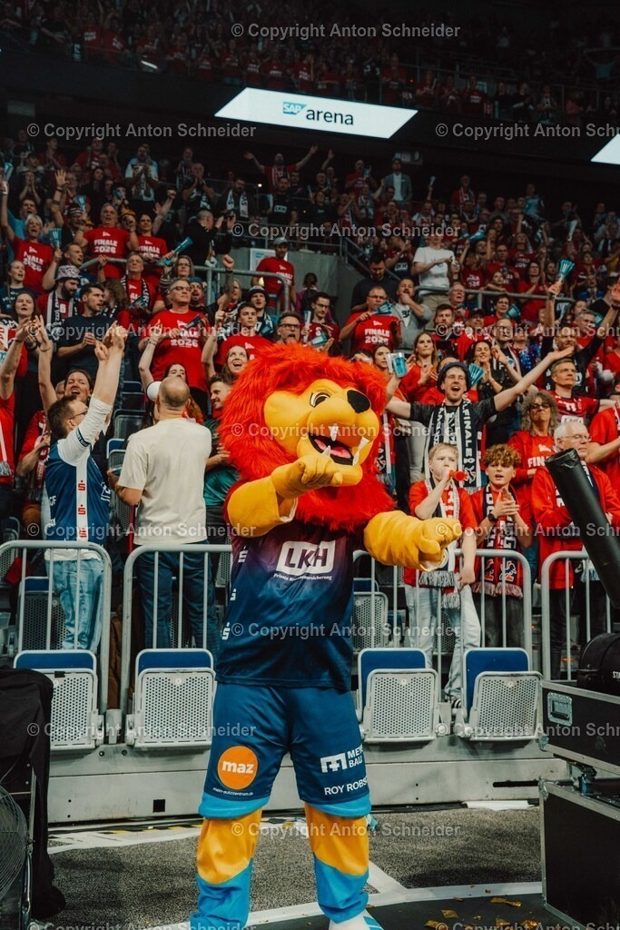 Vollyballpokalfinale 25/26 Mannheim | Zoi DVV Pokalfinale am 28.02.2026 in Mannheim I VfB Suhl LOTTO Thüringen - Allianz MTV Stuttgart I VfB Friedrichshafen - SVG Lüneburg - Realisiert mit Pictrs.com