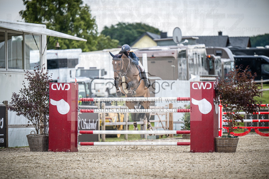 DOS_8621 | Entdecke hochwertige Reitturnierfotos von Foto Oger. Professionell, emotional und authentisch – jetzt Lieblingsmomente im Shop bestellen.Deutschlandweite Turnierfotografie. - Realisiert mit Pictrs.com