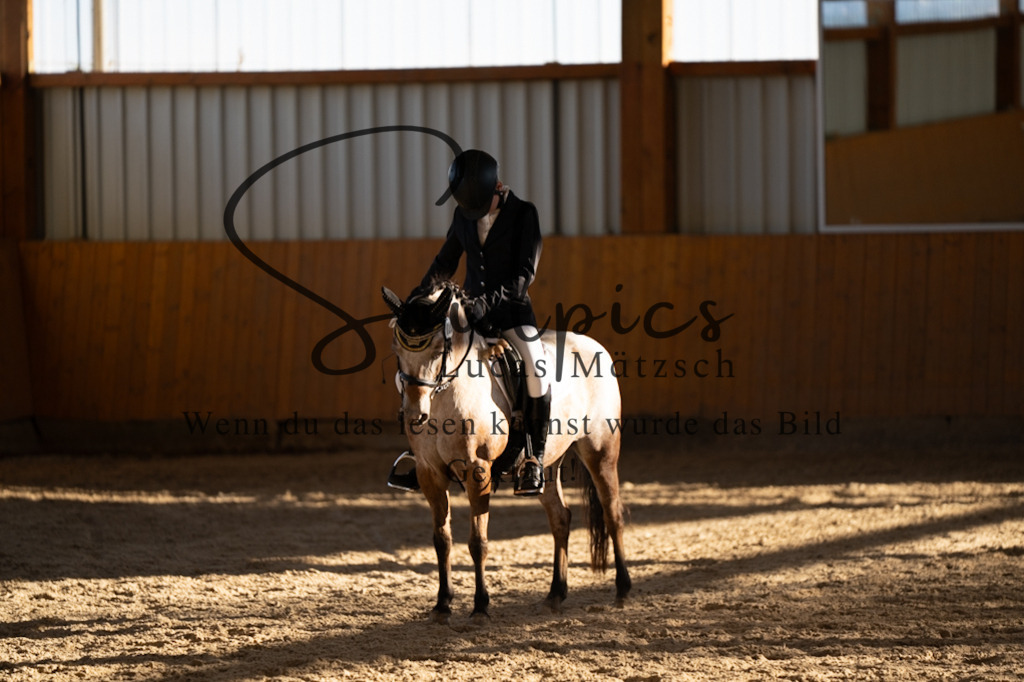 A7V01695 | Pferdefotograf