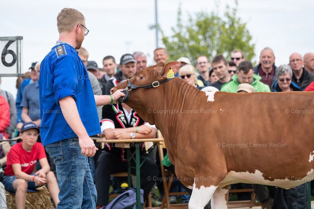Schwingen -  TG Kantonal 2023 | Neukirch-Egnach, 30.4.23, Schwingen - TG Kantonal.