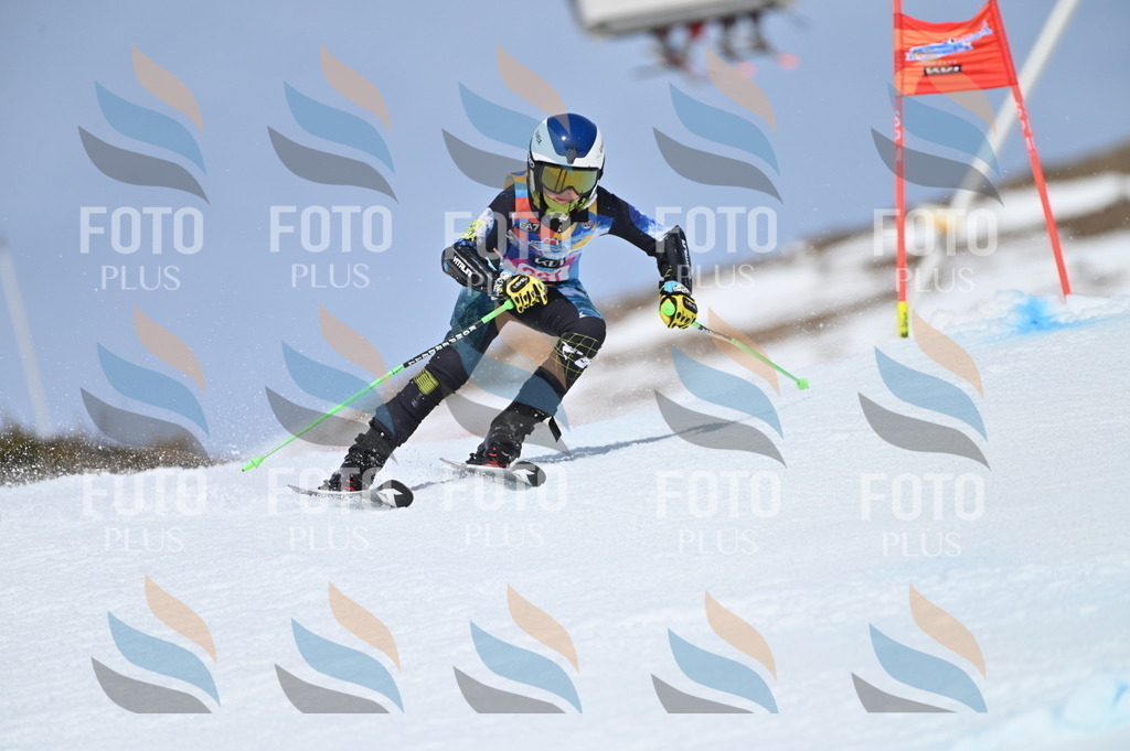 BGV_1515 | holidayphoto