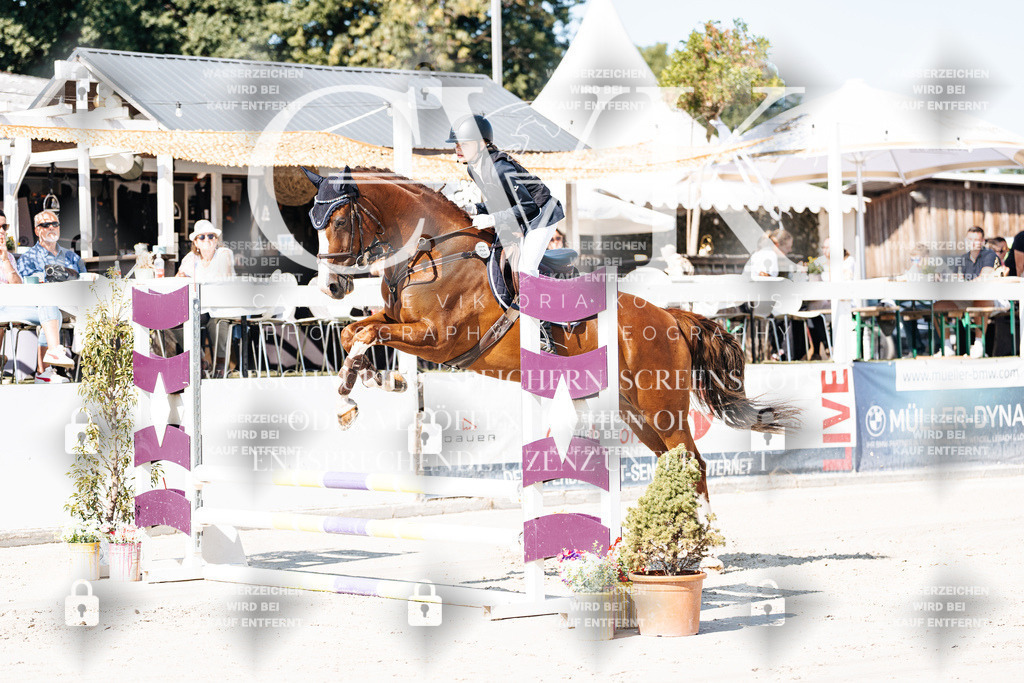 CK905214 | Turnierfotografie Pferdefotografie Trier Rheinland-Pfalz Pferdesport Reitsport Tierfotografie Sportfotografie Pferdevideo Pferdevideografie Equestrianvideography equestrianphotography  - Realisiert mit Pictrs.com