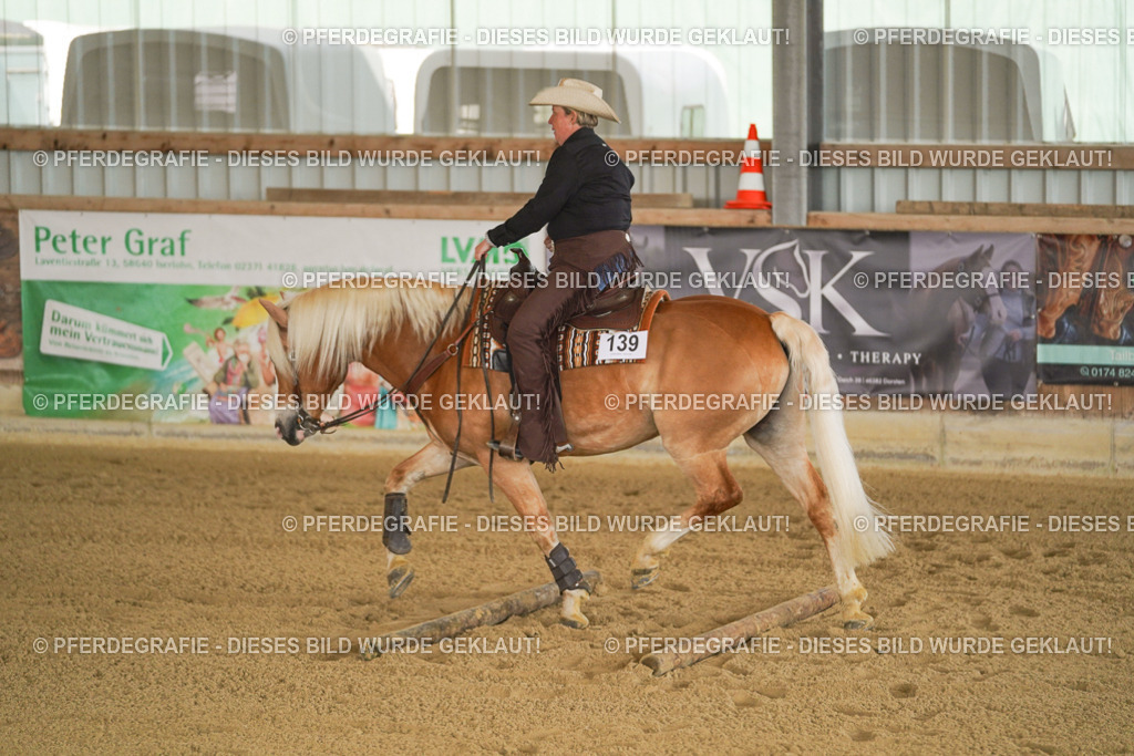 DSC02893 | Pferdegrafie