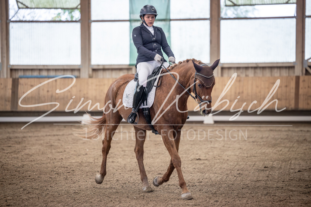 20251011-_3LI9601 | Tierfotografie Pferde, Hunde, Katzen, Haustiere.
Turnierfotografie Reitturniere, Reiten, Springreiten, Dressur in Hanau, dem Main-Kinzig-Kreis und dem Rhein-Main- Gebiet um Frankfurt
