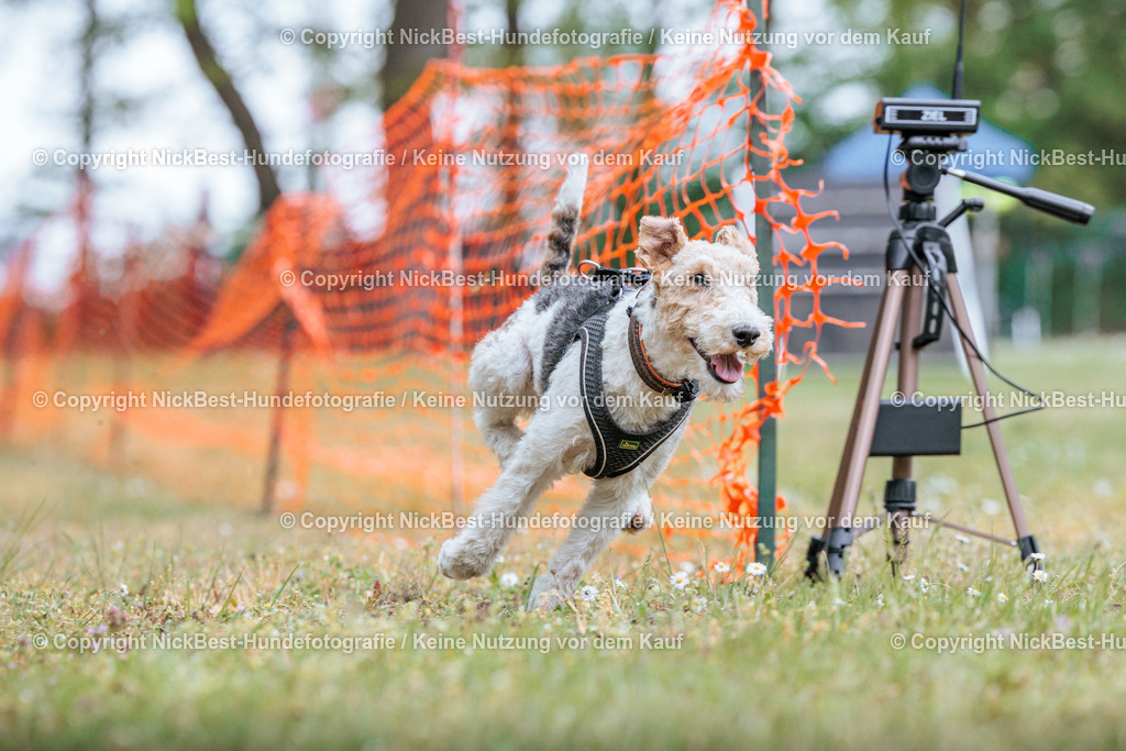 Sage Hunderennen Frühlingsfest-2026-Nickbest-Hundefotografie-0707 | Dein Hund! Dein Moment! Deine Erinnerungen! Hundefotografie in Bremen Blumenthal. Ich fange die besonderen Momente deines Vierbeiners ein – ob Indoor mit Blitzanlage oder in der freien Natur. Sicher dir dein Moment und dein Termin für eure Erinnerungen.