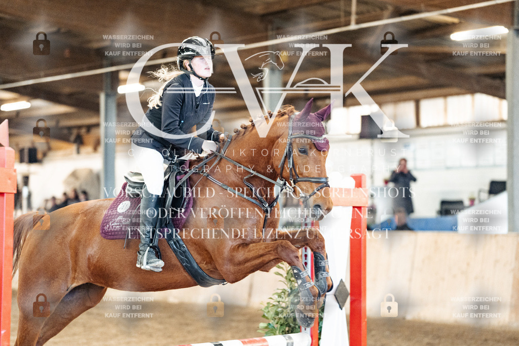 CK903856 | Turnierfotografie Pferdefotografie Trier Rheinland-Pfalz Pferdesport Reitsport Tierfotografie Sportfotografie Pferdevideo Pferdevideografie Equestrianvideography equestrianphotography  - Realized with Pictrs.com