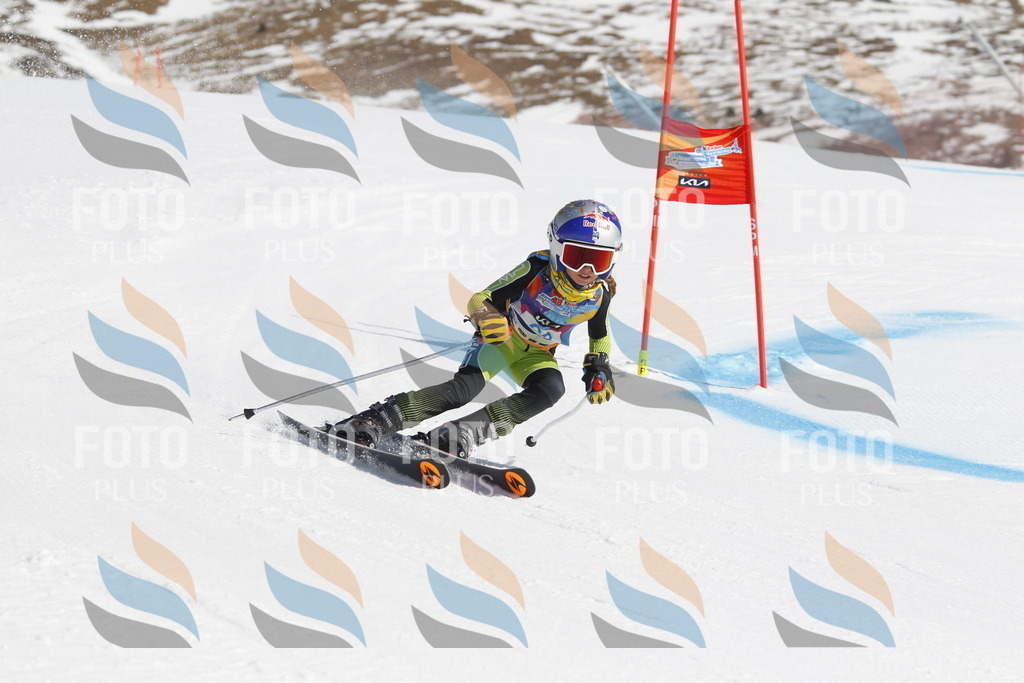 _U3G9679 | holidayphoto