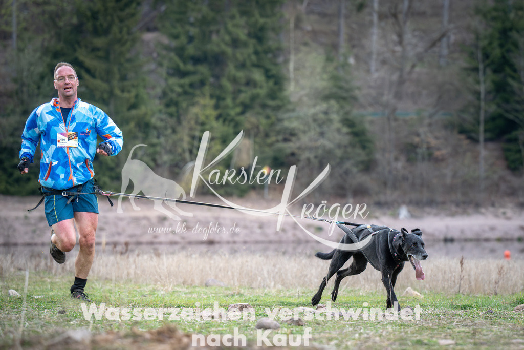 1815_ZZ94802 | kk-dogfotos