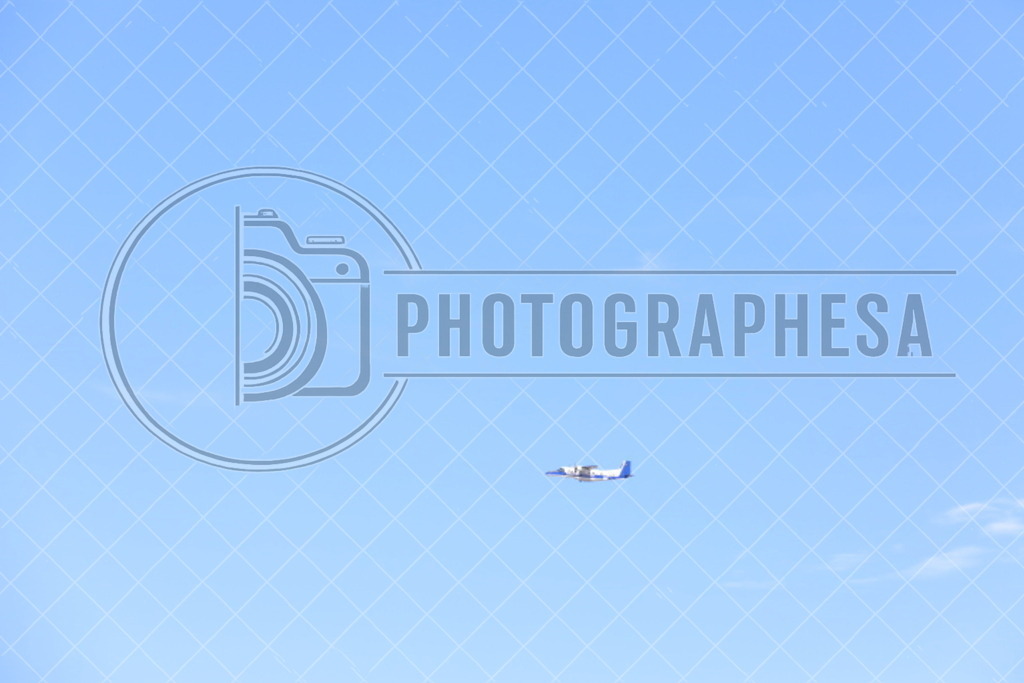 IMG_8847 | photographesa-joergens - Realisiert mit Pictrs.com