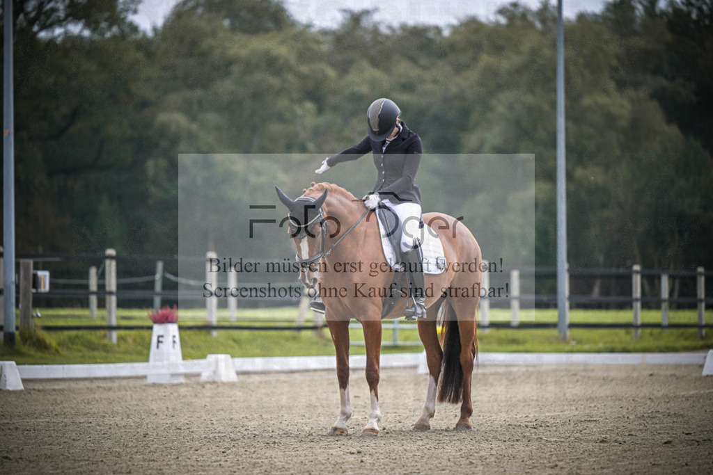 DOS_B373 | Entdecke hochwertige Reitturnierfotos von Foto Oger. Professionell, emotional und authentisch – jetzt Lieblingsmomente im Shop bestellen.Deutschlandweite Turnierfotografie. - Realisiert mit Pictrs.com