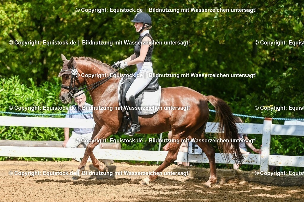 20230716_01_Dressurprüfung Kl.M_0334 | equistock