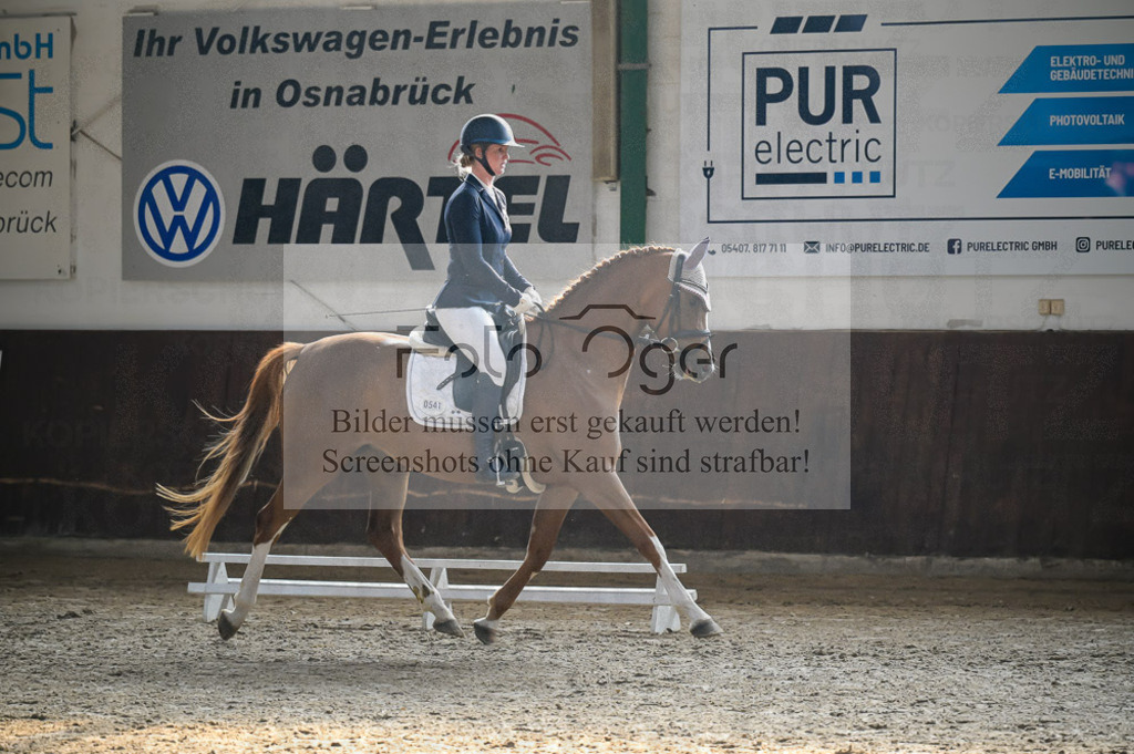 Reitturnier Voxtrup | Entdecke hochwertige Reitturnierfotos von Foto Oger. Professionell, emotional und authentisch – jetzt Lieblingsmomente im Shop bestellen.Deutschlandweite Turnierfotografie. - Realisiert mit Pictrs.com