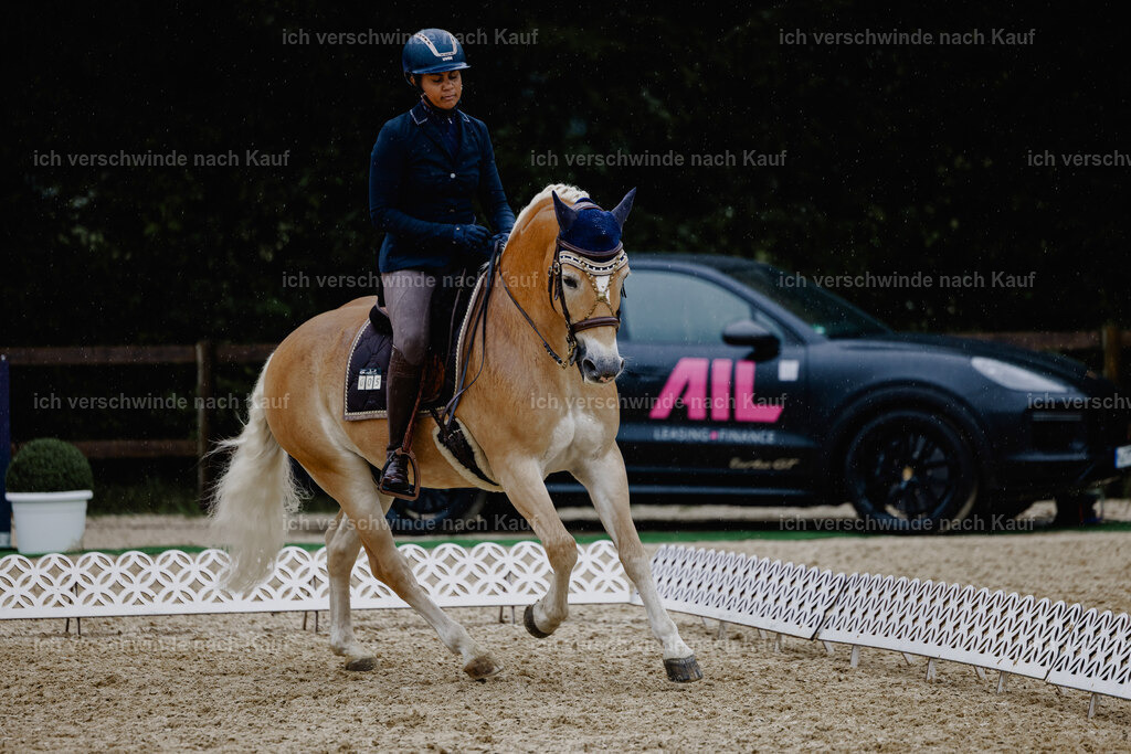Tanesha5FHC2025-24842 | working equitationturnier fotograf videograf stoibphotography marixx film working equitation deutschland reitsport turnierfotografie eventfotografie equestrian events
