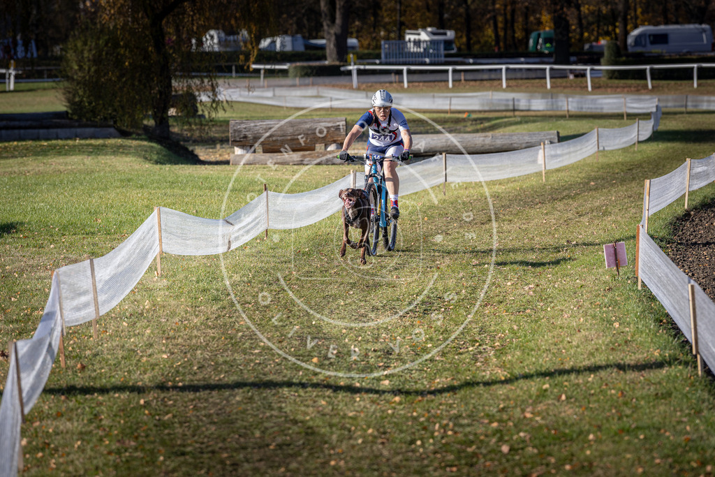 CaniXpix_DV3A4372 | Hundefotografie, Tierfotograf, Pfotenfotografie, Fotoshooting Hund, Hunde Portrait, Hundesport, Hundeportraits, Heideshooting, Hunde, Sportfotograf, Hundefotograf, Turnierhundsport, THS,  - Realisiert mit Pictrs.com
