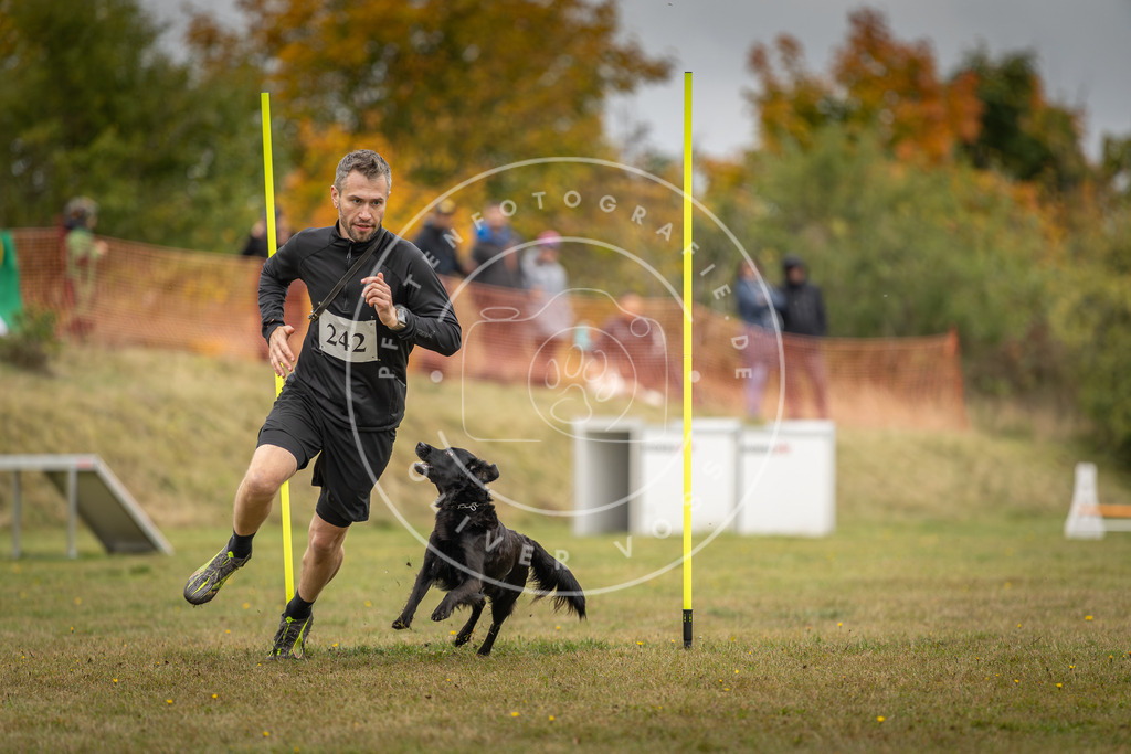 Pfotenfotografie_DV3A5518 | Hundefotografie, Tierfotograf, Pfotenfotografie, Fotoshooting Hund, Hunde Portrait, Hundesport, Hundeportraits, Heideshooting, Hunde, Sportfotograf, Hundefotograf, Turnierhundsport, THS,  - Realisiert mit Pictrs.com