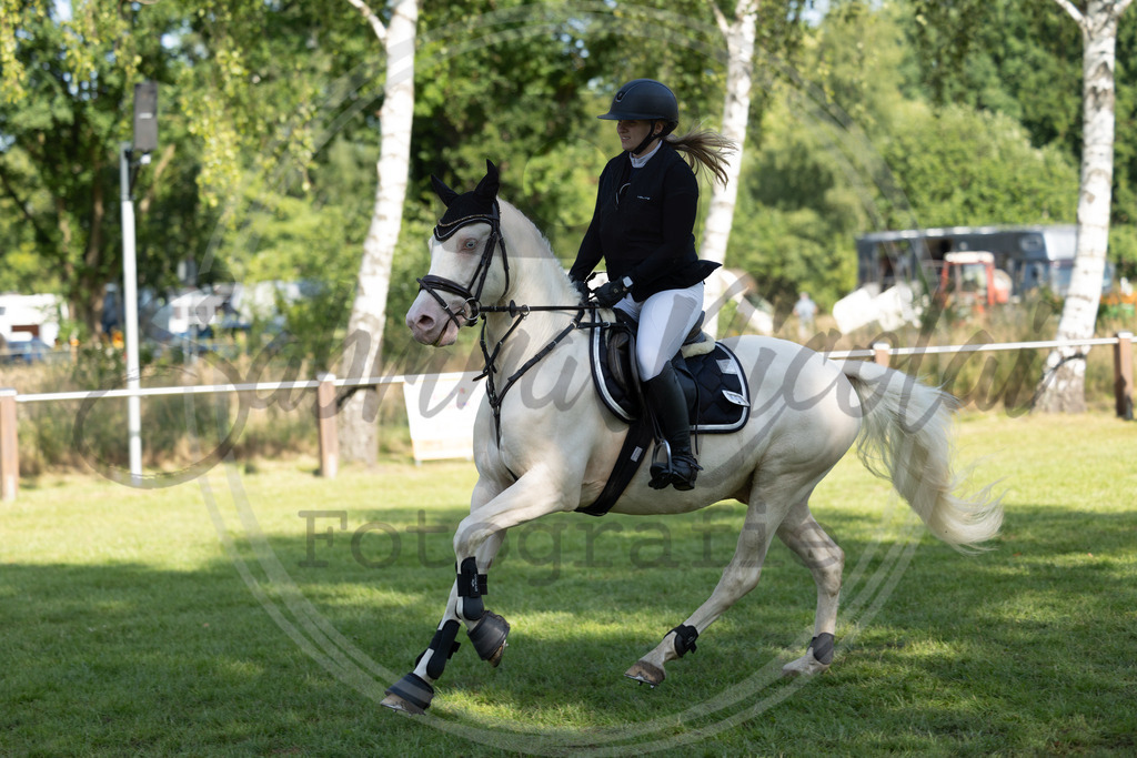 994A3704 | sabrinanicolaifotografie - Realisiert mit Pictrs.com