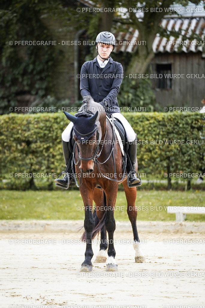 DSC04943 | Pferdegrafie