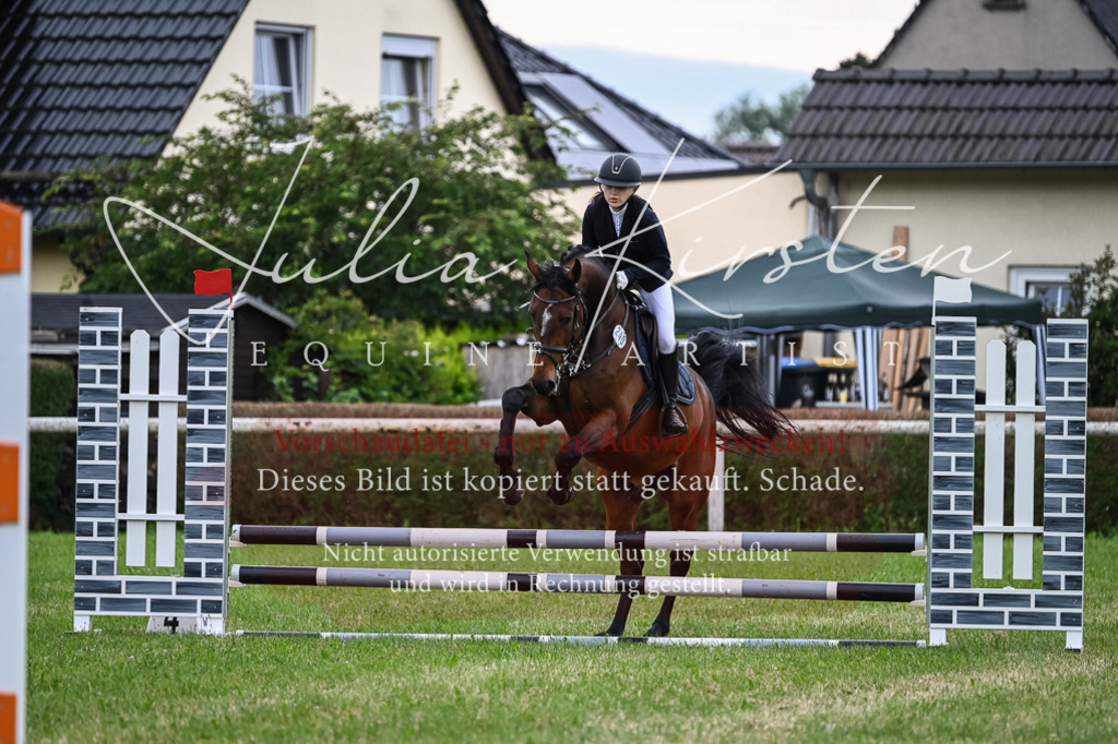 DSC_8466 | Pferde- und Turnierfotografie in Westsachsen. Pferdeportraits, Auftragszeichnungen und intuitive Kunst.