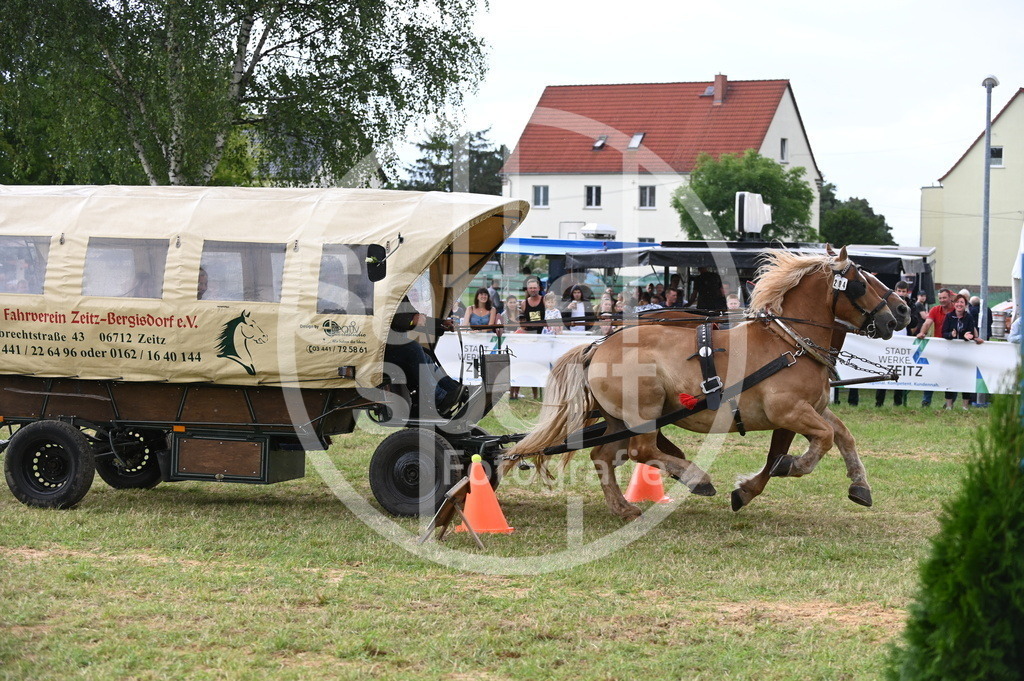 DSC_8706 | sattelsport - Realisiert mit Pictrs.com