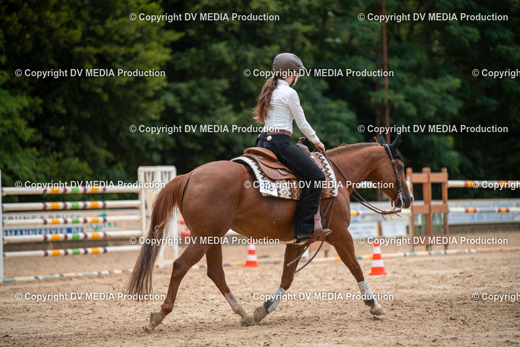 ZS2_8630 | dv-media-shop - Realisiert mit Pictrs.com