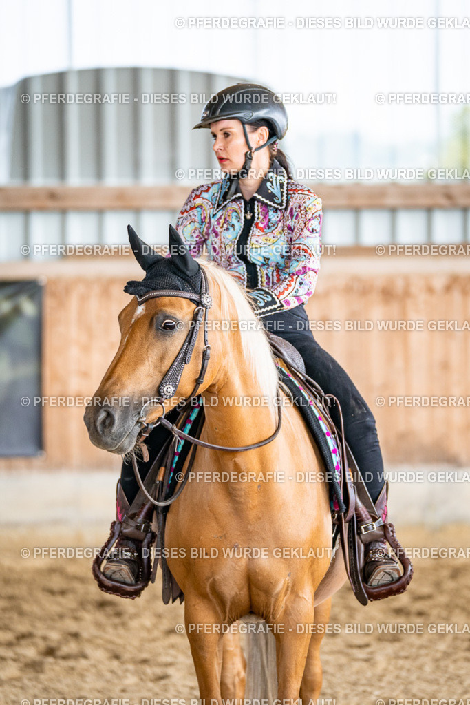 DSC09389 | Pferdegrafie