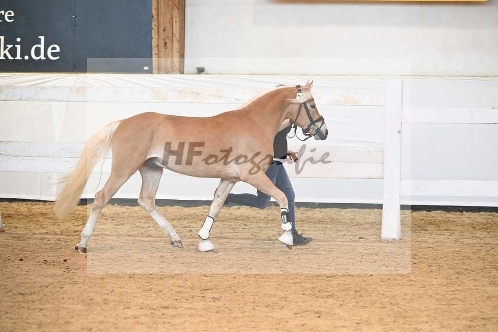 Kat-Nr. 24 v. Waaris-Z_Hock_6240341 | hf-fotografie - Realisiert mit Pictrs.com